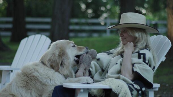 5 Best Netflix Documentaries About Actors, Singers & Celebrities, Ranked by RT