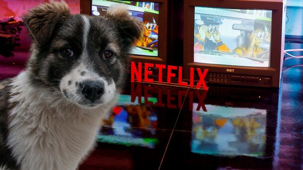 Yep, Netflix For Dogs is a Thing, But They're Not Impressed Yep, Netflix For Dogs is a Thing, But They're Not Impressed