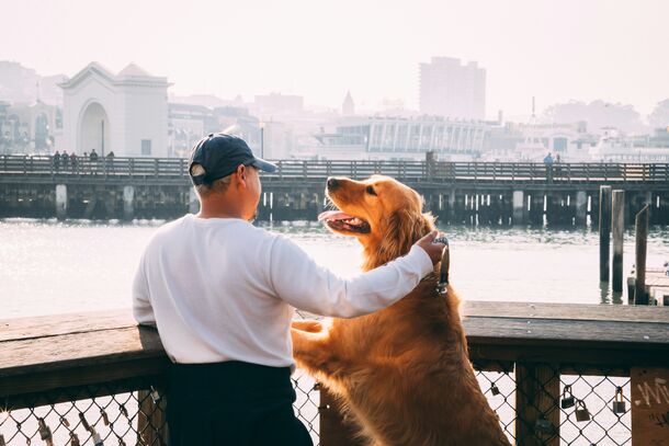 The Exact Words That Instantly Make Your Dog Happy, According to Veterinarians