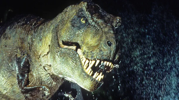 'Jurassic Park’s Velociraptor Calls: The Bizarre Sounds of Mating Tortoises 'Jurassic Park’s Velociraptor Calls: The Bizarre Sounds of Mating Tortoises