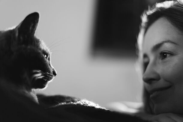 Men vs. Women: Scientists Reveal How Cats Change Their 