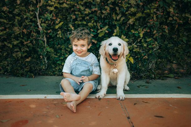 They Aren’t Toys: How to Teach Your Child to Respect and Protect the Family Pet