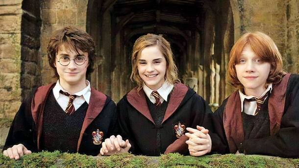 Harry Potter Fans Who Genuinely Dislike This Iconic Character... What's Up with You? Harry Potter Fans Who Genuinely Dislike This Iconic Character... What's Up with You?
