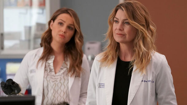 2 Grey's Anatomy's Grey Sisters We Loved, And 1 That Should've Been Written Off 2 Grey's Anatomy's Grey Sisters We Loved, And 1 That Should've Been Written Off