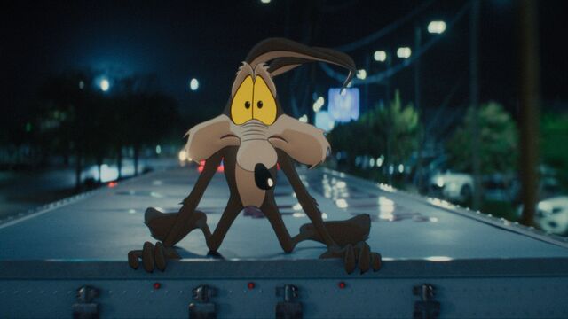 Why was Coyote vs Acme shelved? It was the third finished Warner film to vanish in little over a year