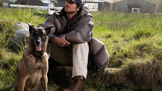 Which book is The Dog Stars based on? A 2012 debut novel that waited 14 years for the screen