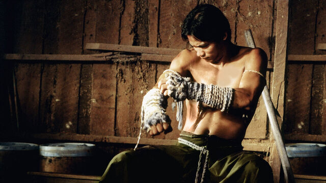 8 Best Martial Arts Movies to Watch While Waiting for 'Street Fighter'