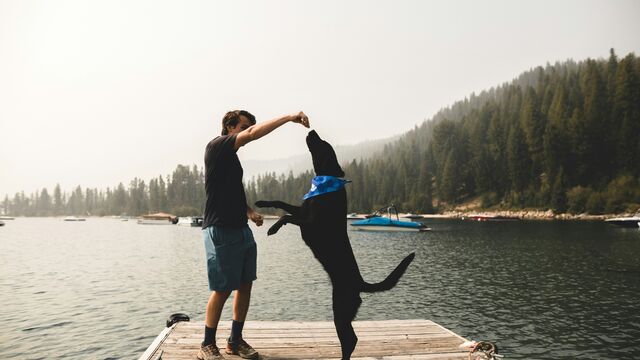 Killing with Kindness? Why Common Ways We Show Love Are Dangerous for Pets, According to a Vet