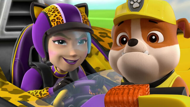 8 ‘Paw Patrol’ Villains, Ranked From Annoying to Most Evil