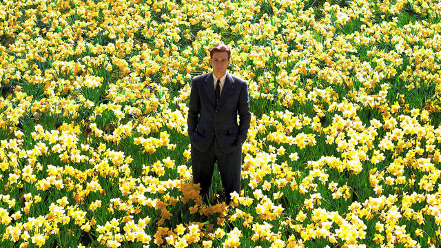 8 Strikingly Beautiful Movies to Watch if You Liked 'The Fall', Ranked by RT