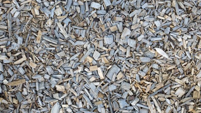 It costs twice what wood chips do — and it's the cheapest mulch you'll ever buy: the one material you lay down once