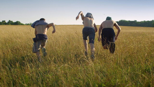 5 Best Teen Movies That Capture the Perfect Summer Feeling, Ranked by Rotten Tomatoes