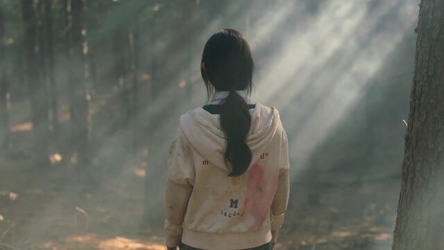 5 Best TV Series for Those Who Miss 'Alice in Borderland', Ranked by IMDb