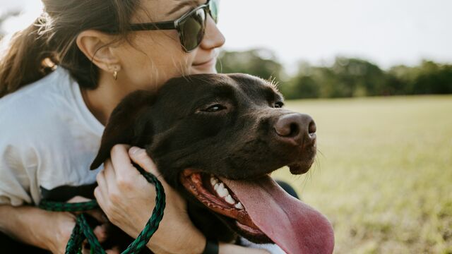 How to Find a Pet Sitter and Actually Enjoy Your Vacation (Without Constantly Worrying)