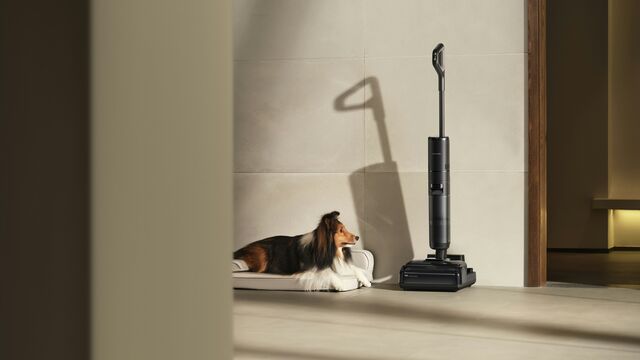 Tired of Shedding? Follow These 5 Pro Tips to Reduce Pet Hair in Your House by 90%