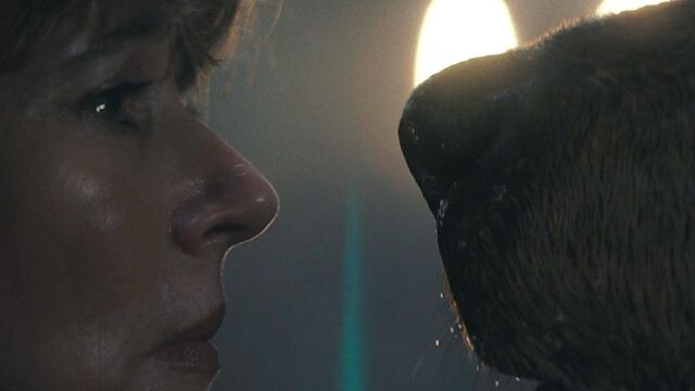 How old is Jason in Crystal Lake? Peacock shaved more than a decade off the Friday the 13th timeline