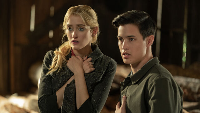 8 Best Mysterious TV Series to Watch After 'Widow's Bay', Ranked by Rotten Tomatoes