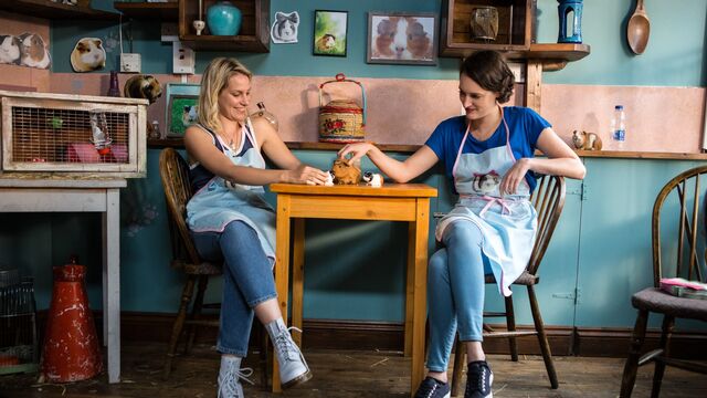 What happened to Boo in Fleabag? Fleabag blames herself for the death — and she's right to