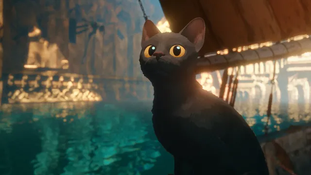 'Flow' and 4 Other Highest-Rated New Animated Movies, Ranked by Rotten Tomatoes