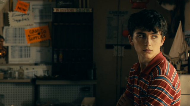 5 Lesser-Known Timothée Chalamet Movies to Watch After 'Marty Supreme'