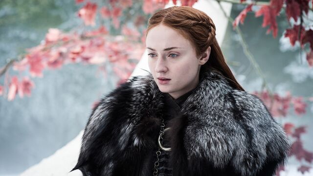 Winds of Winter theory: Sansa could become queen of Westeros by marrying a character the show cut