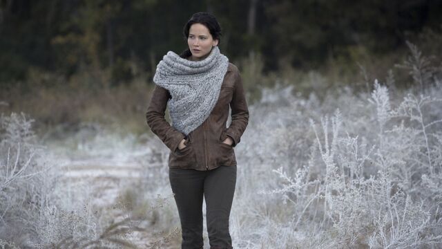 The Hunger Games: Catching Fire ending explained — what "There is no District 12" really means