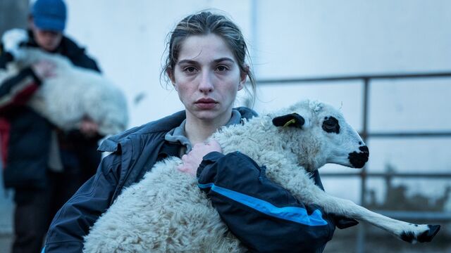 5 Lesser-Known Detective TV Series Based on Real Crimes, Ranked by IMDb