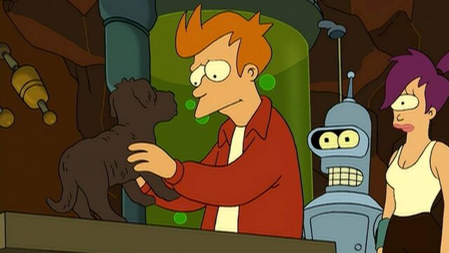 5 Highest-Rated 'Futurama' Episodes That Every Fan Should Revisit, Ranked by IMDb