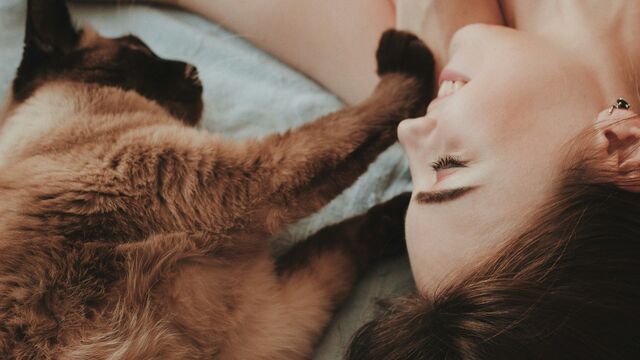 The Secret to Speaking "Cat": The One Simple Gesture Scientists Say Builds Instant Trust