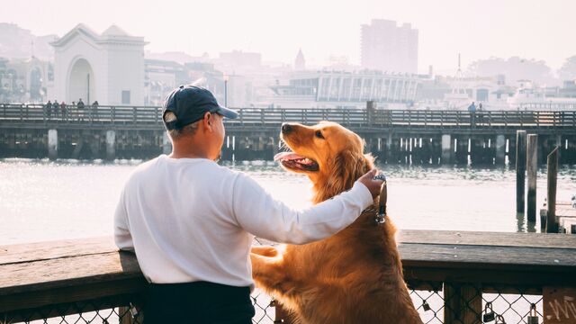 The Exact Words That Instantly Make Your Dog Happy, According to Veterinarians