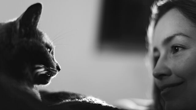 Men vs. Women: Scientists Reveal How Cats Change Their "Voice" Depending on Who They Talk To
