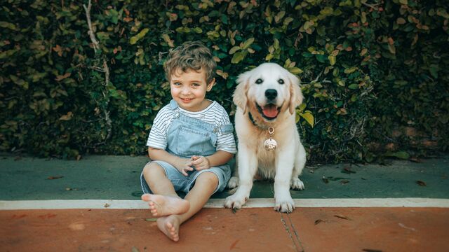 They Aren’t Toys: How to Teach Your Child to Respect and Protect the Family Pet