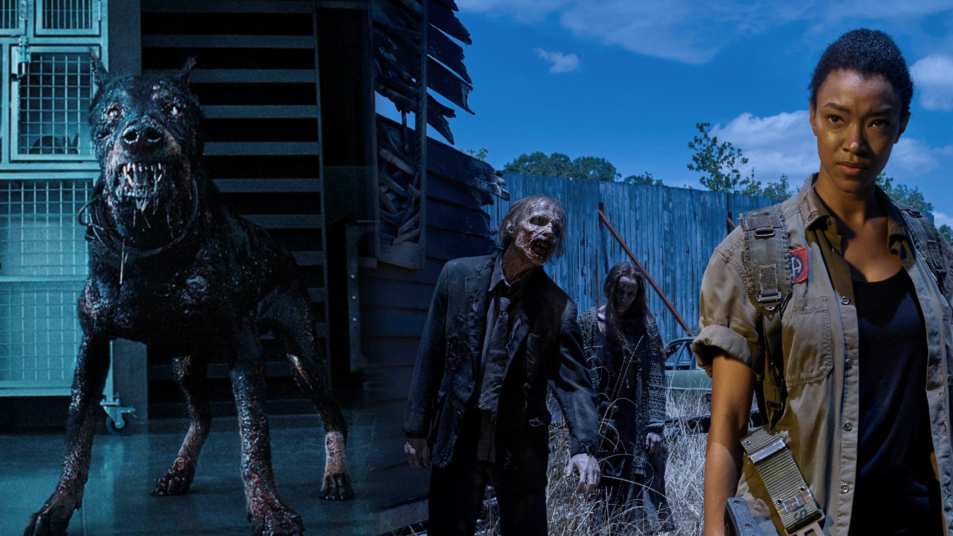 Will Netflix's 'Resident' Evil Become the New Walking Dead? Reddit Weighs In