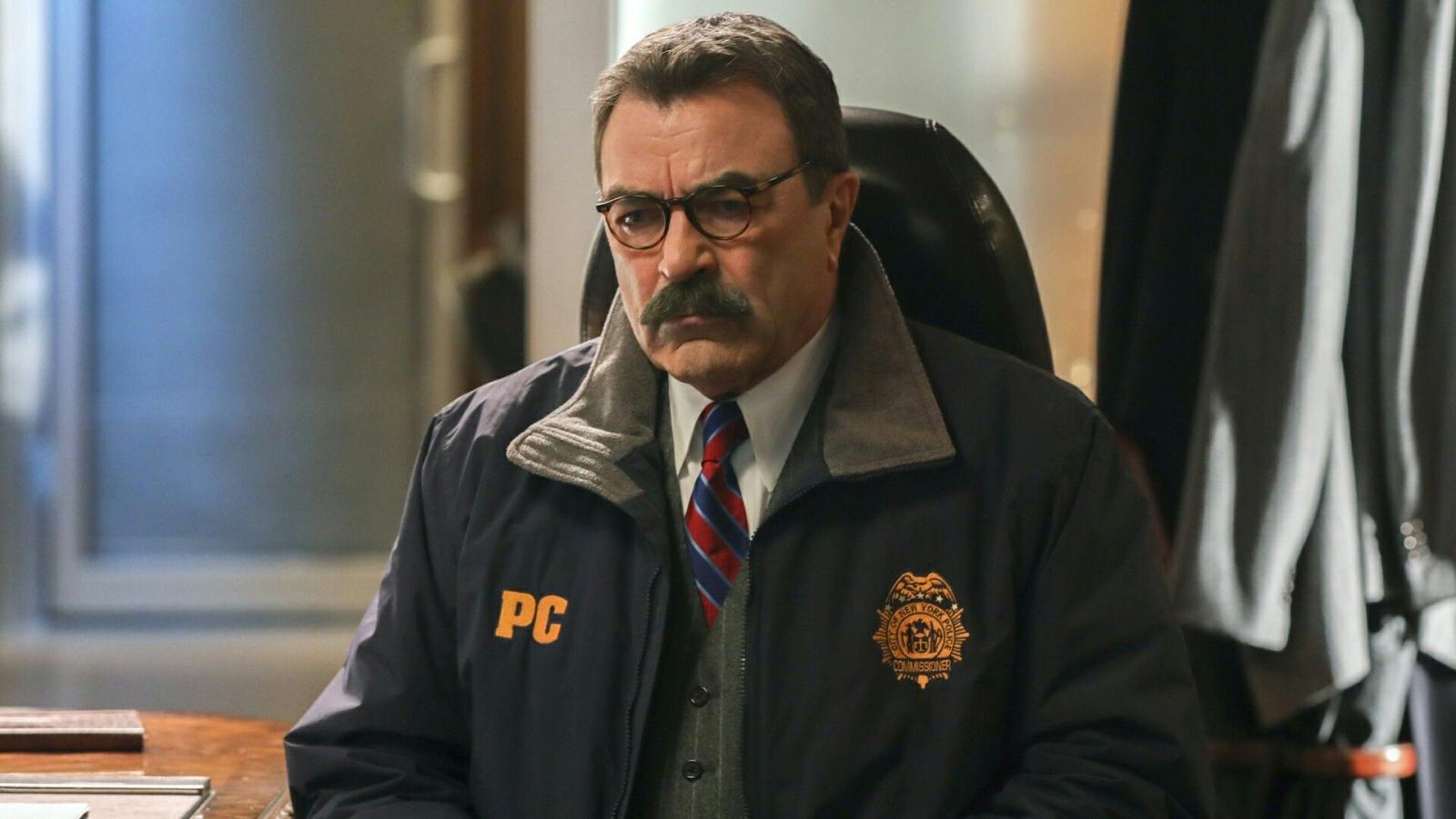 Which Blue Bloods Character Would Be Your Perfect Partner? - image 4