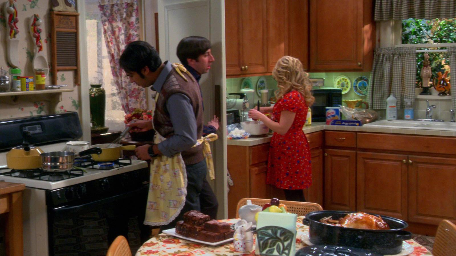 Every Big Bang Theory Thanksgiving Episode, Ranked - image 3