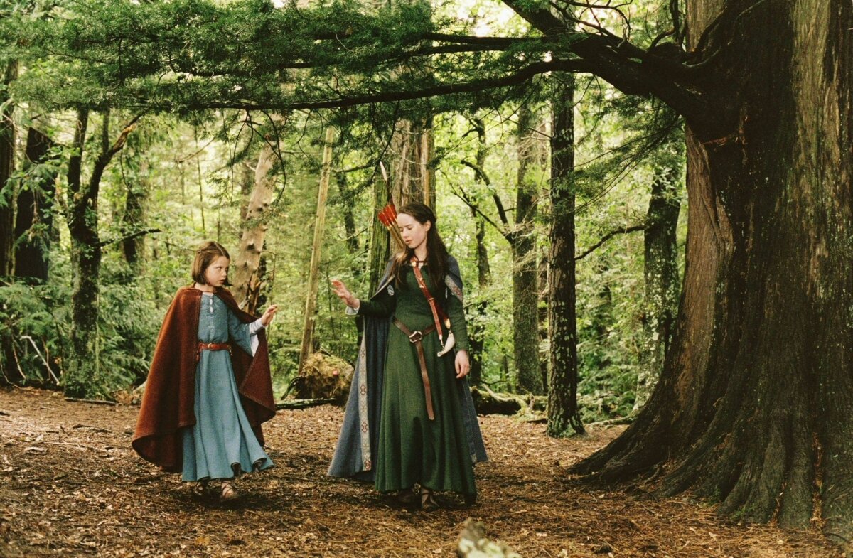  - image 3