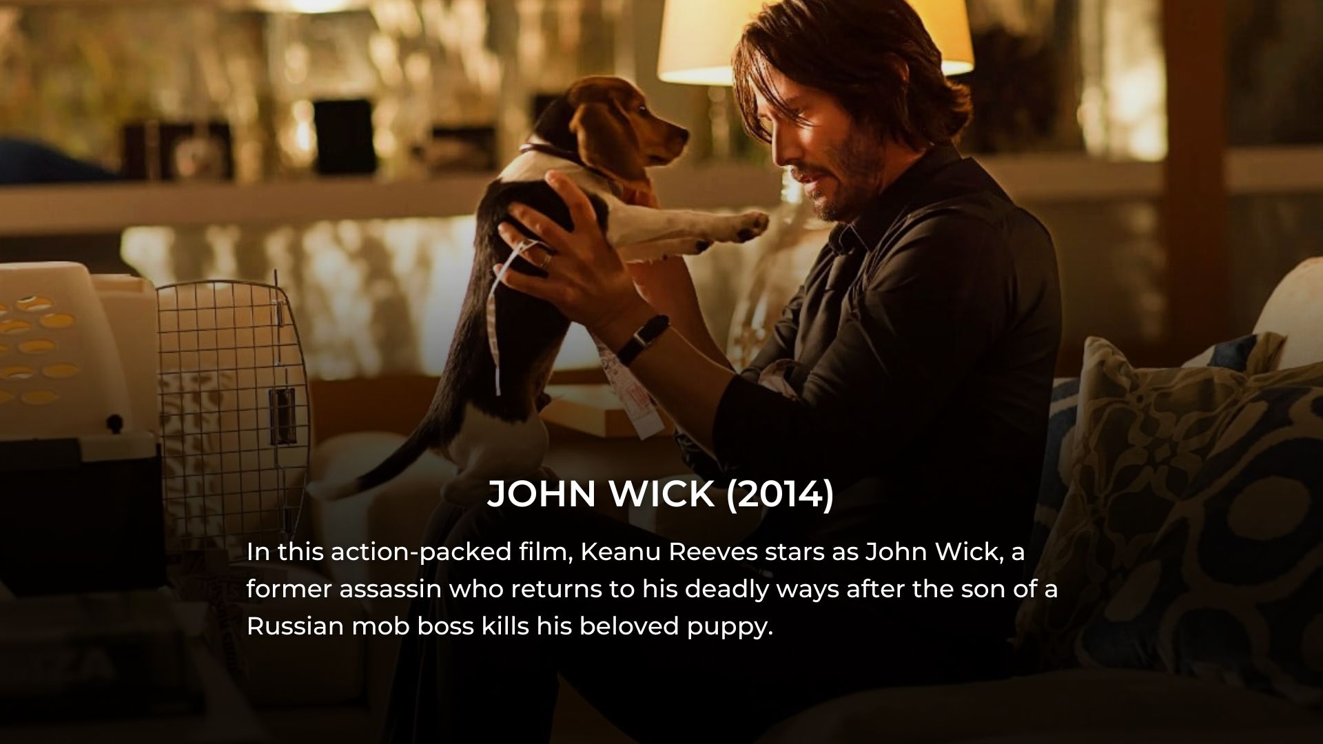 11 Iconic Movies to Watch for Free on Tubi in January 2024