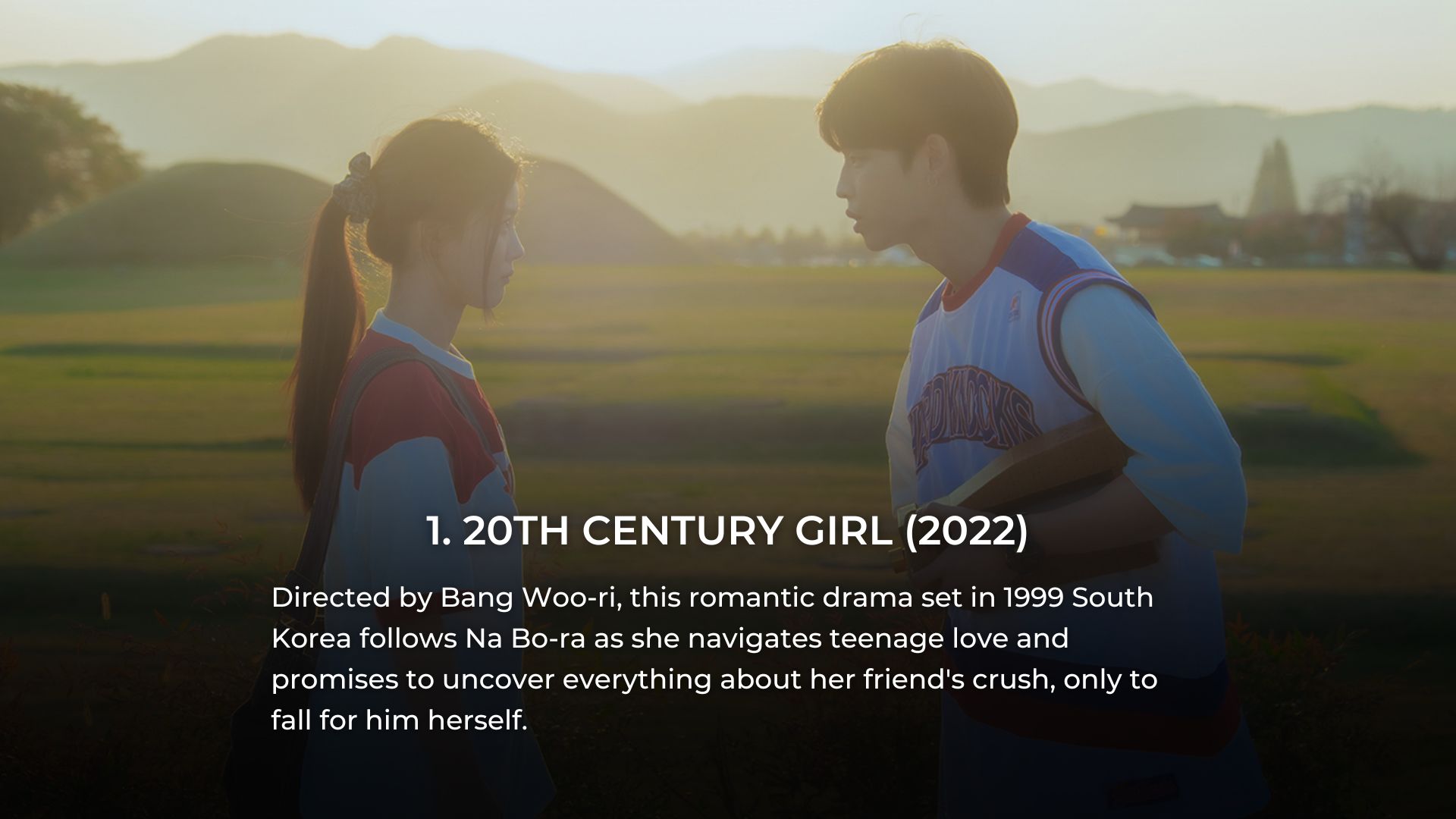 BEST ASIAN ACTION MOVIES ON NETFLIX 2024 visual data 8