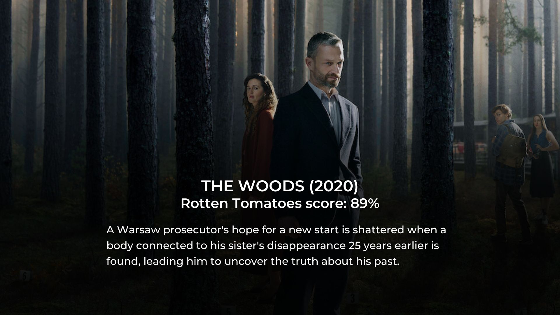 The 30 Greatest Mini-Series on Netflix Ever