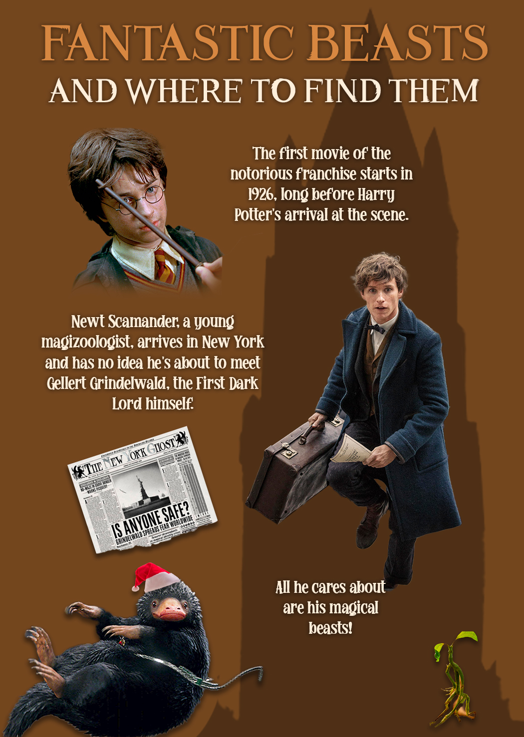 Harry Potter & Fantastic Beasts: How to Watch All Movies in - What Are The Fantastic Beasts Movies In Order
