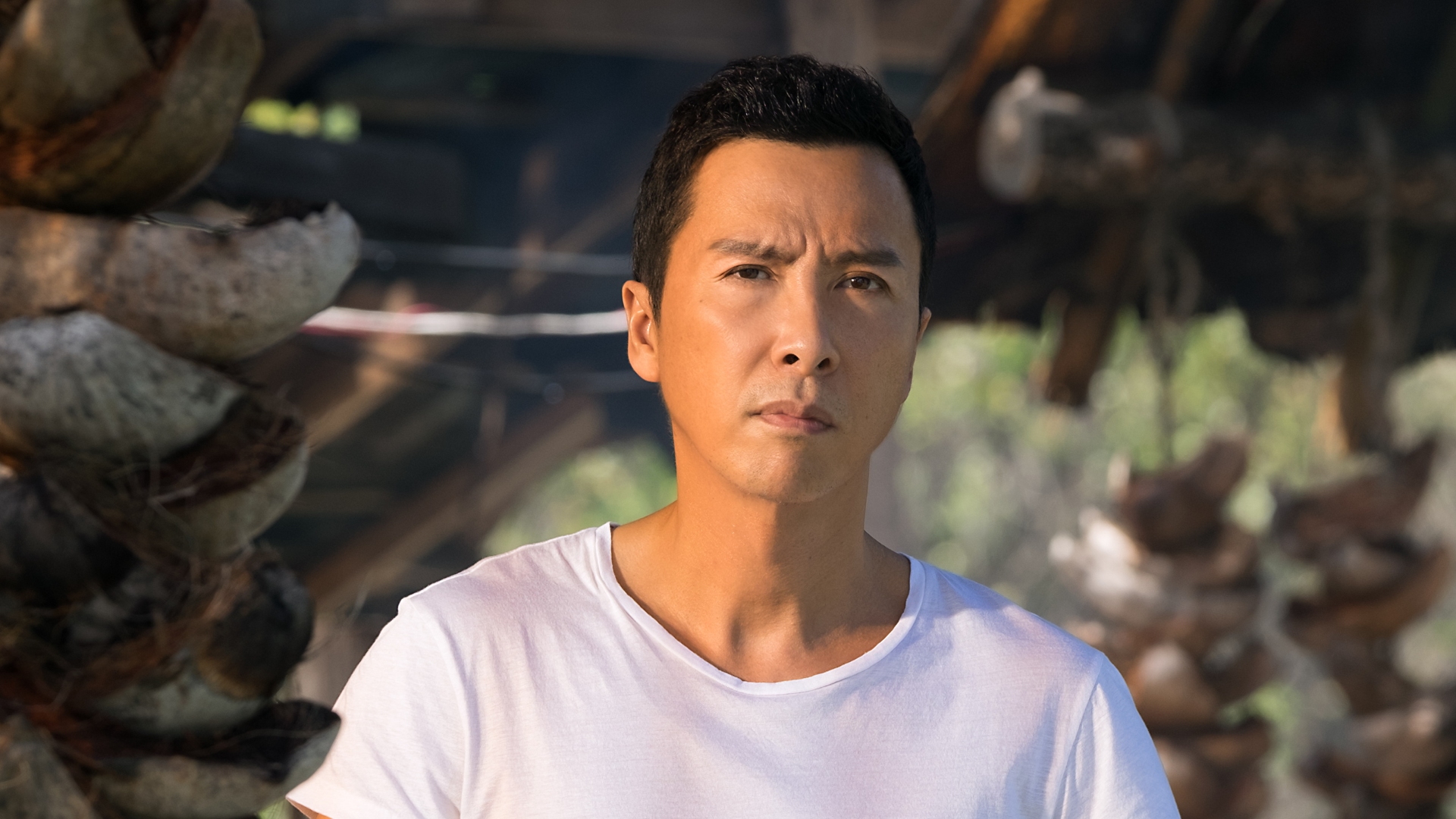 Donnie Yen Oscars Controversy Explained
