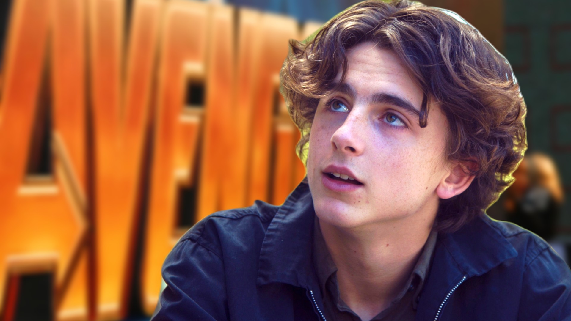 Reddit Just Found A Perfect MCU Role For Timothée Chalamet